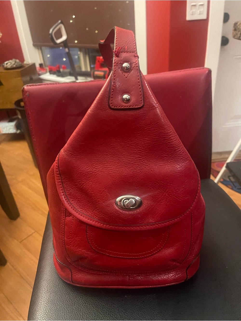 Danier Leather Purse/Backpack